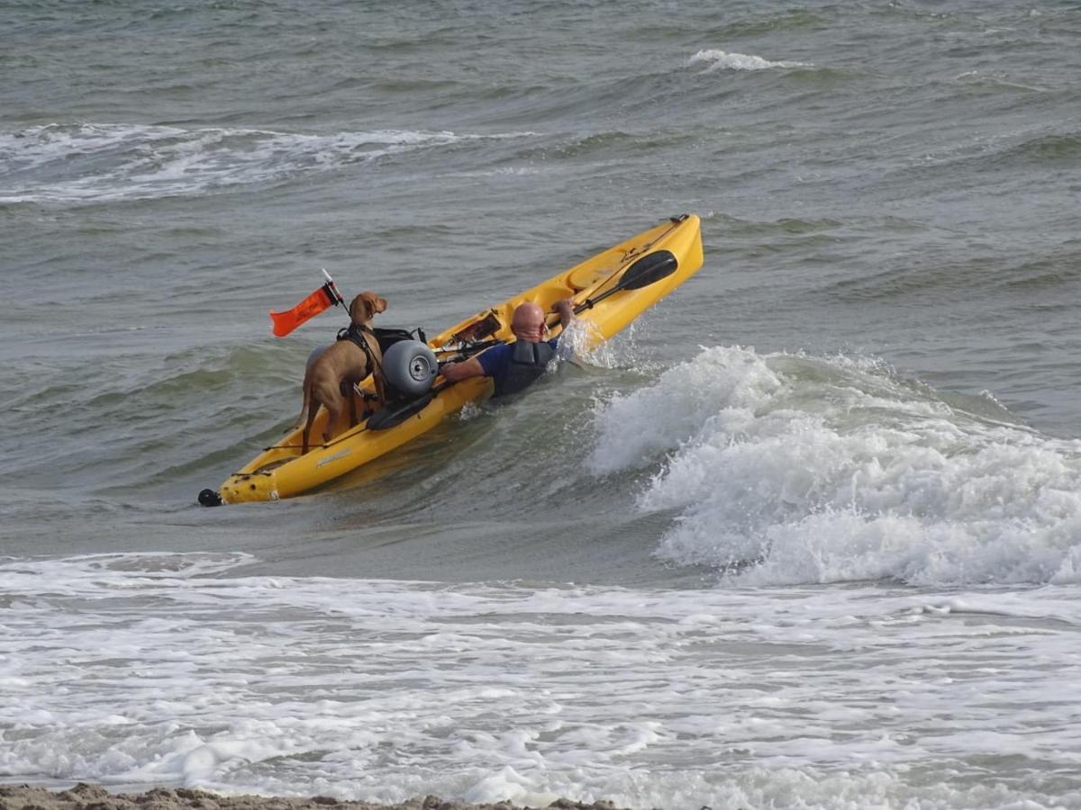Vakantiewoning "Aan Het Bosje" Zoutelande - Strand 200M ! מראה חיצוני תמונה